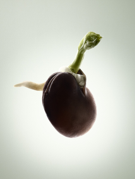 Photograph Tal Silverman New Beginnigs on One Eyeland