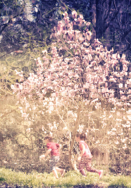 Photograph Floriana Barbu Pink Age on One Eyeland