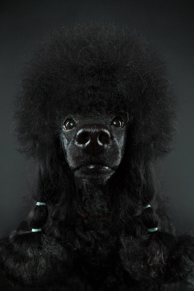 Photograph Alexander Khokhlov Tata on One Eyeland