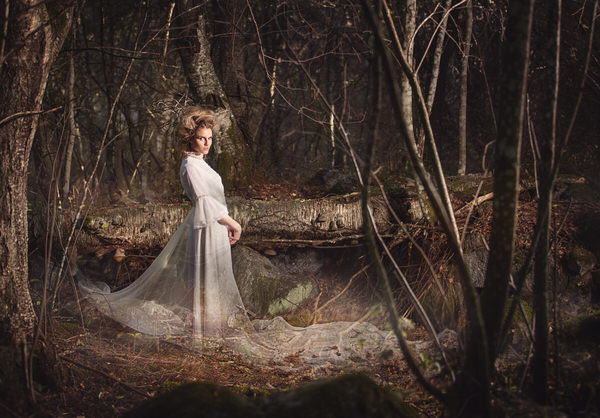 Photograph Heidi Jarvi Doe on One Eyeland