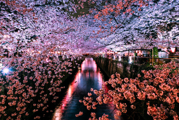 Photograph Yuki Yatsushima Meguro River on One Eyeland