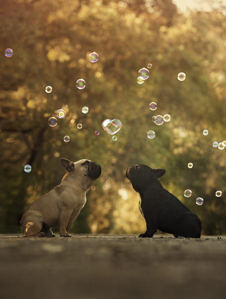 Photograph Alexandre Marques Love Is In The Air on One Eyeland
