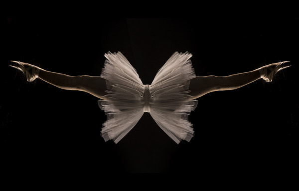 Photograph Marc Sabat Butterfly on One Eyeland