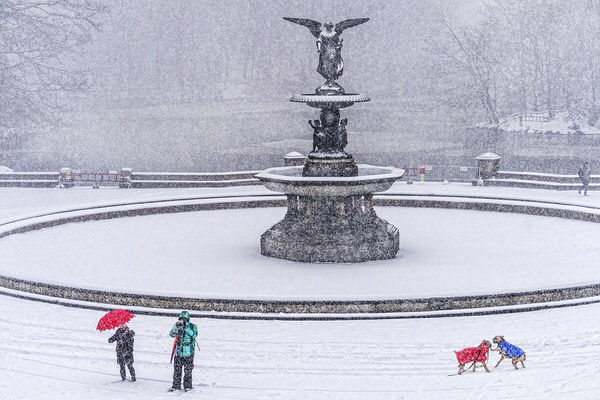 Photograph Mitchell Funk Cental Park Snow 2 on One Eyeland