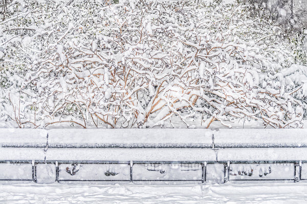 Photograph Mitchell Funk Snow Covered Park Bench on One Eyeland