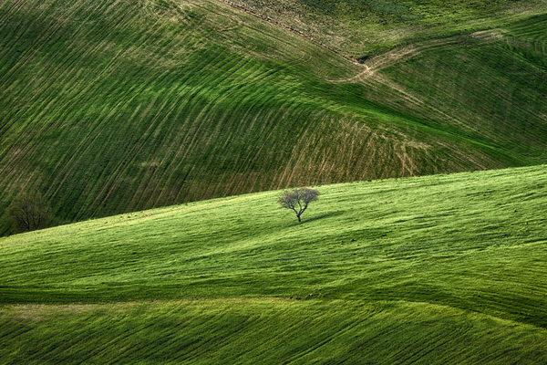 Photograph Francesco Falcone Monti Dauni on One Eyeland