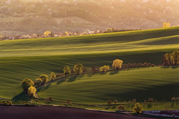 Photograph Lubos Balazovic Sunset At The Meadow on One Eyeland
