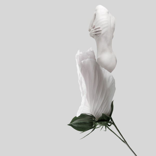 Photograph Sui Sawada Self Portrait Confederate Rose on One Eyeland