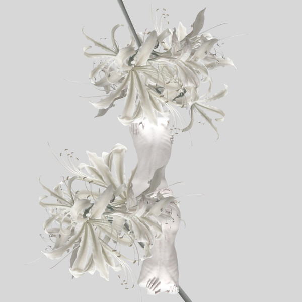 Photograph Sui Sawada Self Portrait Lycoris Radiata on One Eyeland