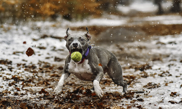 Photograph Davorin Volavsek Catch The Moment on One Eyeland
