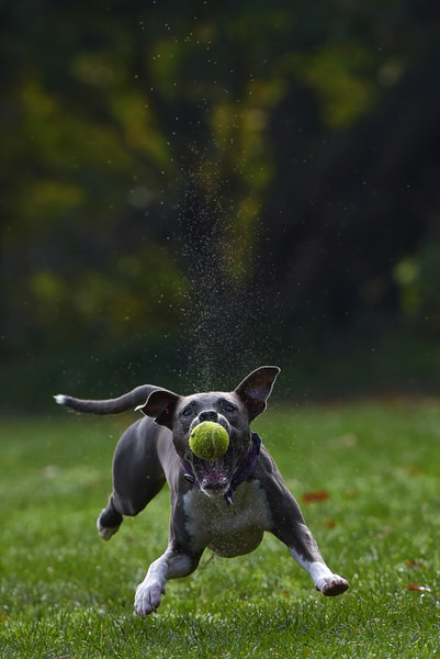 Photograph Davorin Volavsek Catch The Bal on One Eyeland