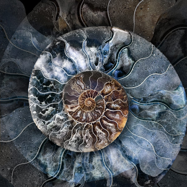 Photograph Marianna Armata Ammelite on One Eyeland