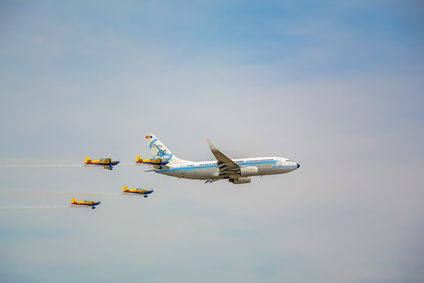 Photograph Marius Surleac The Bird And Her Babies on One Eyeland