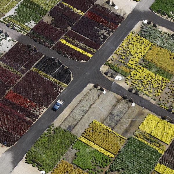 Photograph Larry Hamill Aerial 6 on One Eyeland