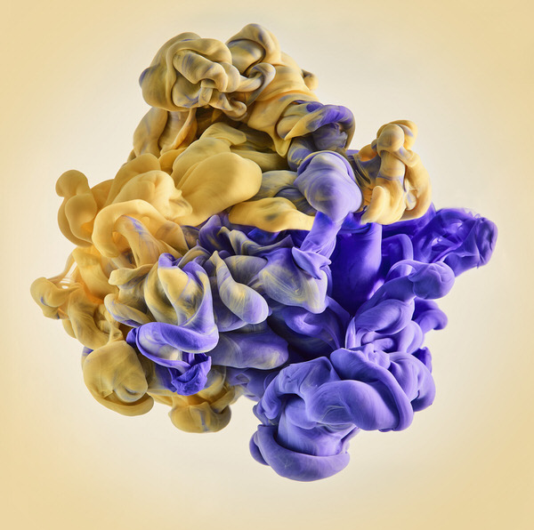 Photograph Mark Mawson Yellow And Purple on One Eyeland