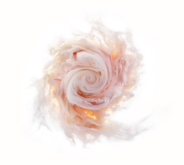 Photograph Mark Mawson Aqueous Roses on One Eyeland