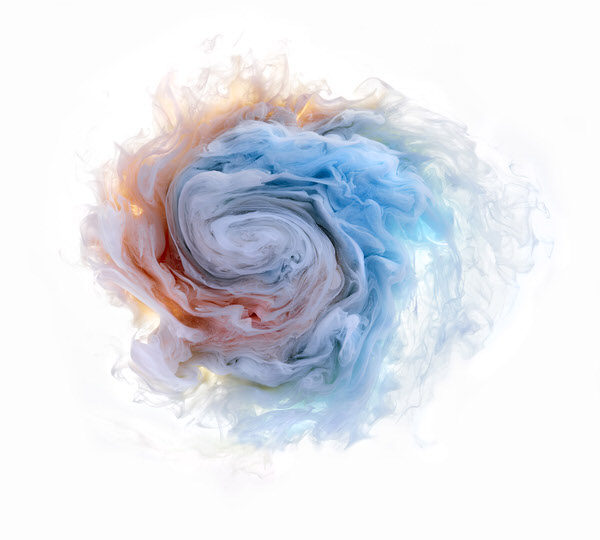 Photograph Mark Mawson Aqueous Roses on One Eyeland