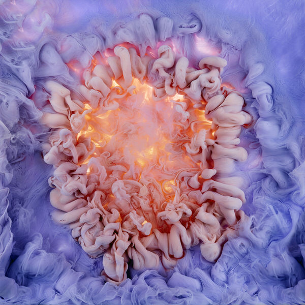 Photograph Mark Mawson Liquid Flower on One Eyeland