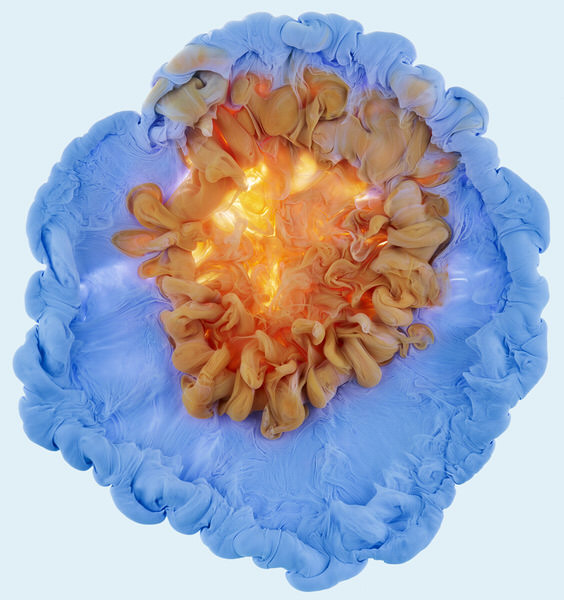 Photograph Mark Mawson Liquid Flower on One Eyeland