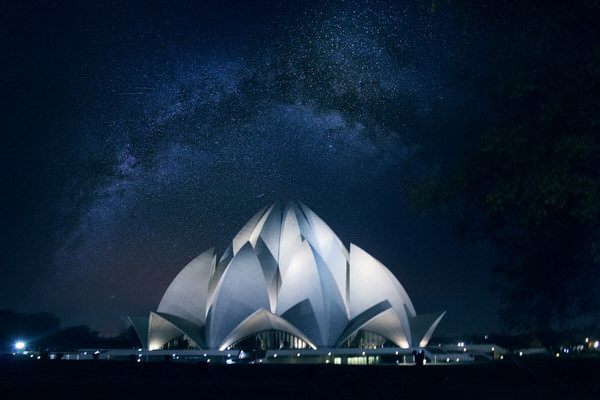 Photograph Riya Sharma Blossoming Lotus on One Eyeland