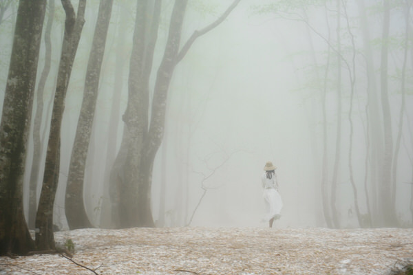 Photograph Masato Saito In The Fog Of The Fresh Green Forest on One Eyeland