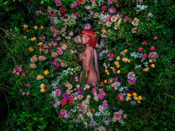 Photograph Haseo Hasegawa Flower Kappa on One Eyeland