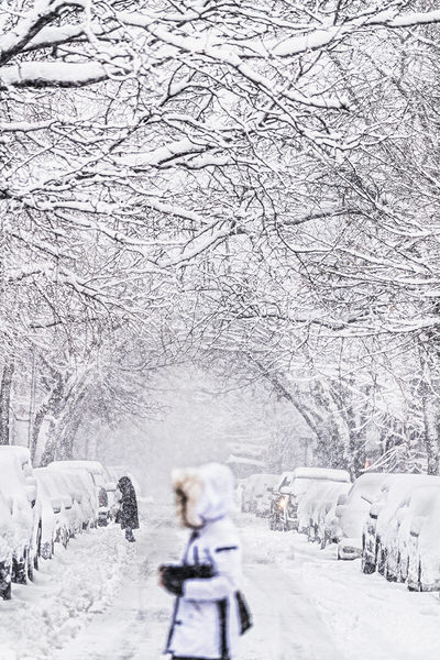 Photograph Mitchell Funk White Out on One Eyeland