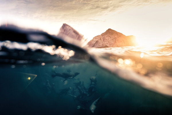 Photograph Nick Hall Under The Sea on One Eyeland