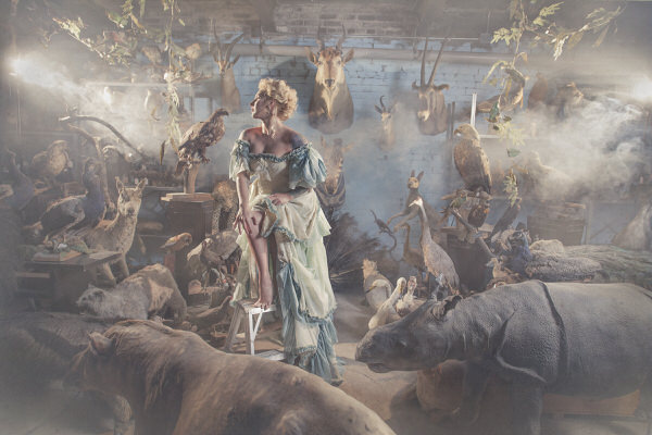 Photograph Ashlea Wessel Menagerie on One Eyeland