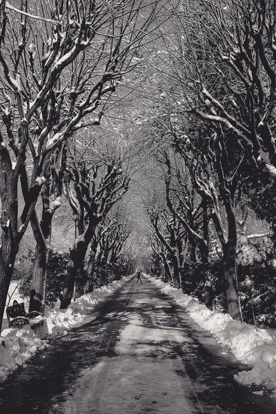 Photograph Marius Surleac Chasing Time on One Eyeland