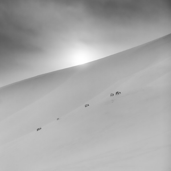 Photograph Aasmund Kvarnstrom Afternoon on One Eyeland