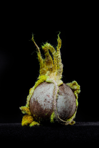 Photograph Hamish Trounson Chewed Tennis Ball on One Eyeland