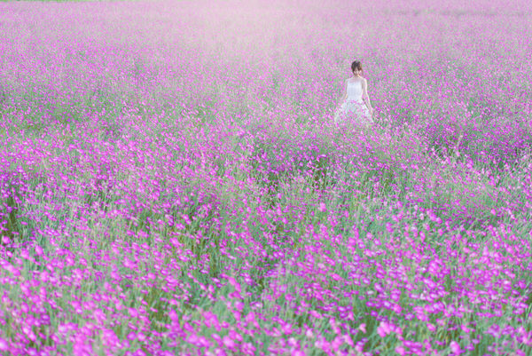 Photograph Nobuhiro Yamauchi Spring Beauty on One Eyeland