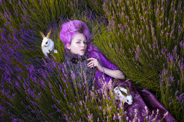 Photograph Elena Paraskeva Dreaming Of Lavender on One Eyeland