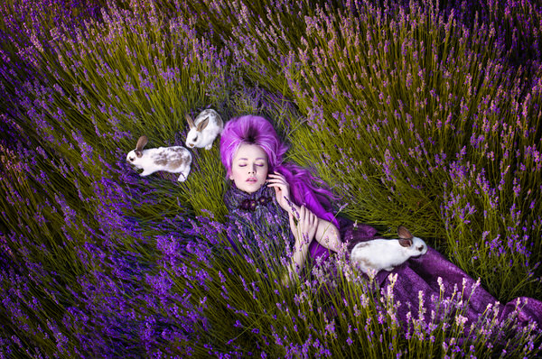 Photograph Elena Paraskeva Dreams Made Of Lavender on One Eyeland