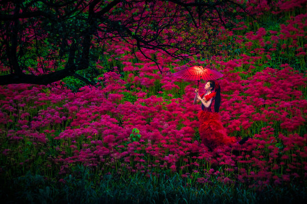 Photograph Haseo Hasegawa Red Poetry on One Eyeland