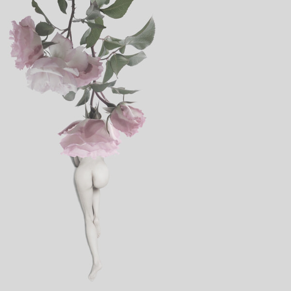 Photograph Sui Sawada Self Portrait Rose on One Eyeland