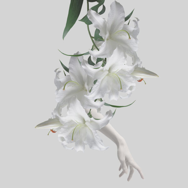 Photograph Sui Sawada Self Portrait Lily on One Eyeland