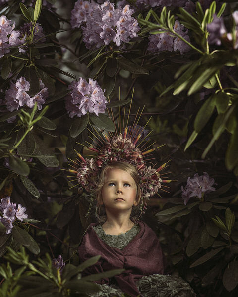 Photograph Suvi Sievila Above on One Eyeland