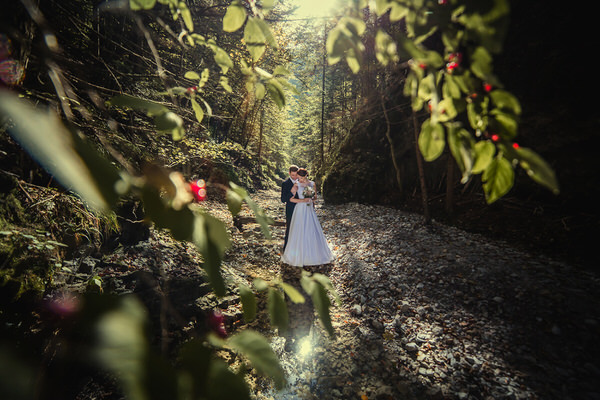Photograph Jozef Brajer Forrest Love on One Eyeland
