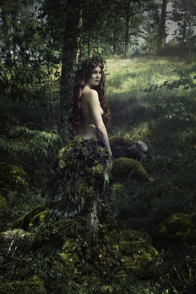 Photograph Jenni Emilia Queen Of The Forest on One Eyeland