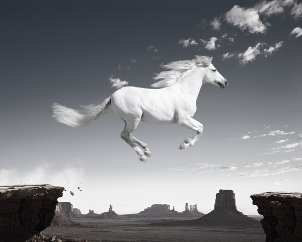 Photograph Glen Wexler Leap on One Eyeland