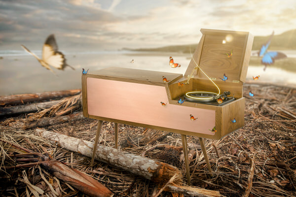 Photograph Pavel Tamm After The Storm The Westerly Record Cabinet on One Eyeland