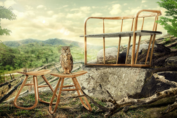 Photograph Pavel Tamm The Resilience Bench And Unstable Stools on One Eyeland
