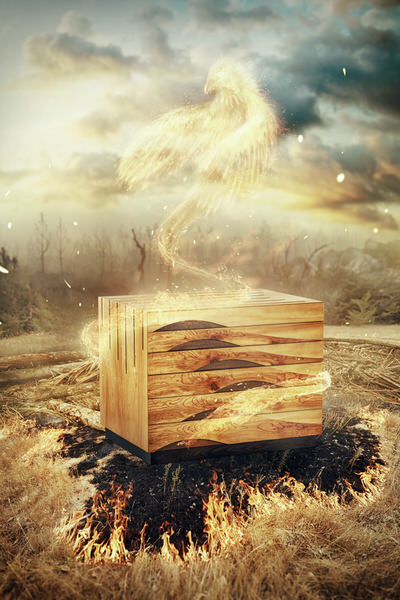 Photograph Pavel Tamm After The Storm The Tsunami Cabinet on One Eyeland