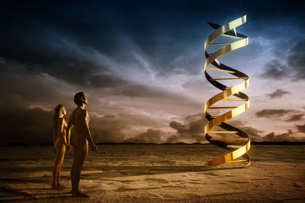 Photograph Glen Wexler Dna on One Eyeland