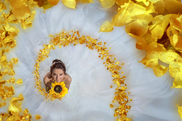 Photograph Fidel Mullaoglu Wedding on One Eyeland