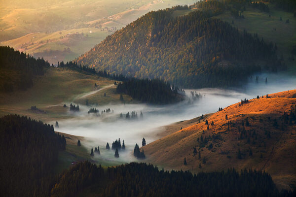 Photograph Zsolt Andras Szabo River on One Eyeland