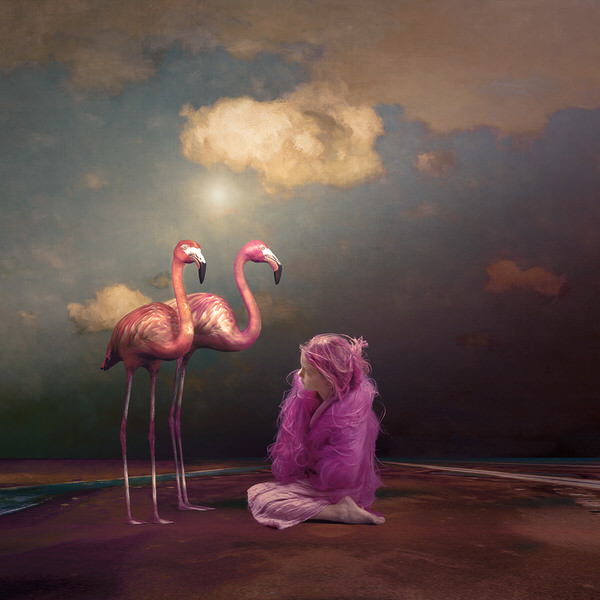 Photograph Patrizia Burra Crazy Nature on One Eyeland