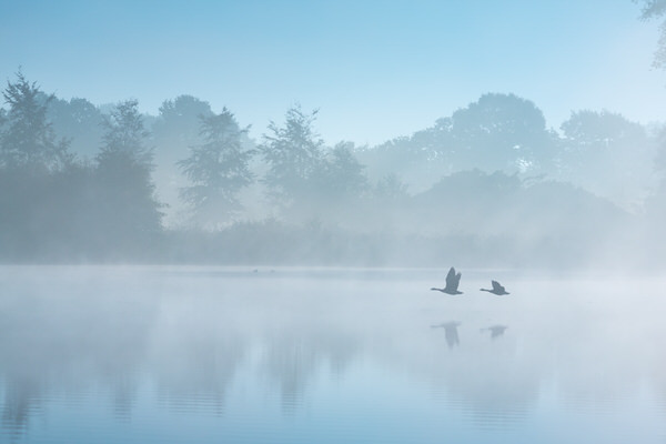 Photograph Bas Meelker Autumn Fly By on One Eyeland